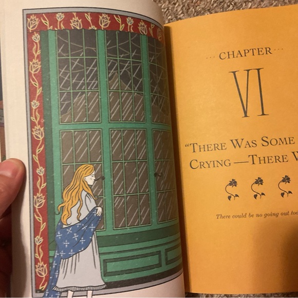 Like new - The Secret Garden - France’s Hodgson Burnett - illustrated - Picture 11 of 13